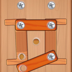 Woodnuts Bolts Puzzle